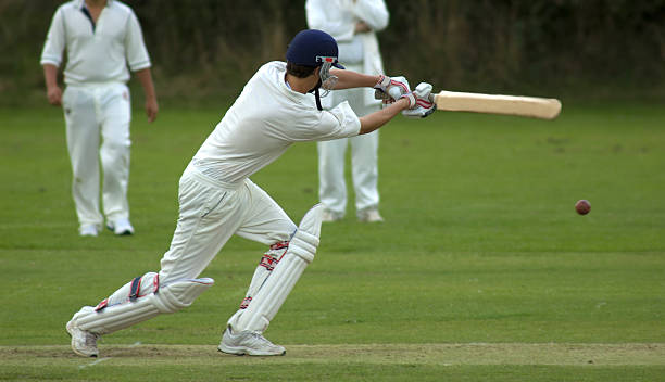 The impact of cricket on indigenous languages: Preserving linguistic diversity through sport