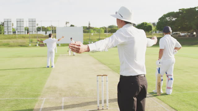 IPL’s Contribution to Cricket Ground Wildlife Conservation Practices