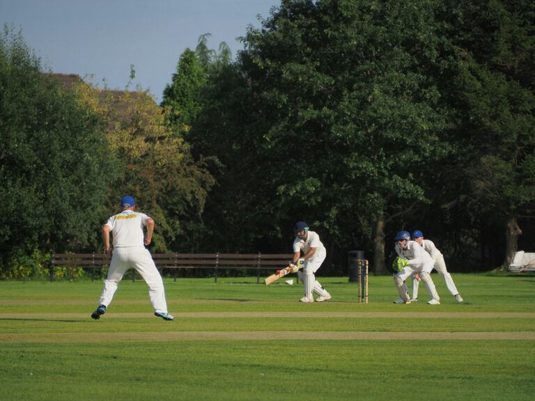 Exploring the Influence of Bollywood on Indian Cricket Culture