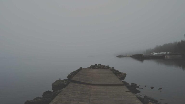 Where Can I Get Cricbet99 Reddy Anna Apk Download Link?