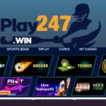 Unlocking the Power of an Online Cricket ID: A Guide for Modern Players